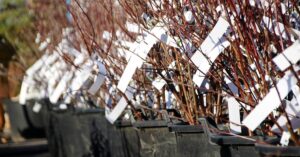 хранение растений